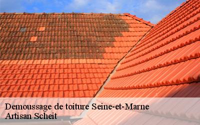 Ne vous inquiétez pas Artisan Scheit est à votre service pour tous vos travaux de démoussage de toiture dans le 77 dans le Seine-et-Marne  !