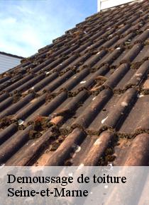 Confiez-vous àArtisan Scheit démousseur de toiture à prix pas cher 77 dans le Seine-et-Marne !