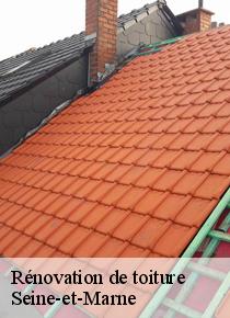 Ne vous souciez pas, Artisan Scheit est prêt pour à vous satisfaire pour vos travaux de rénovation de toiture!