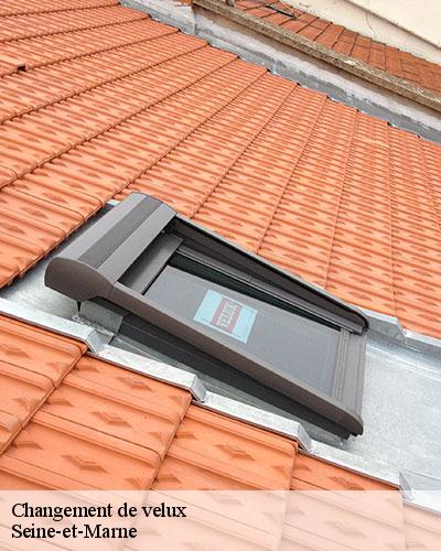 changement-de-velux-77