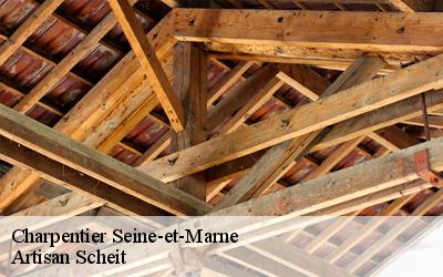 Faites confiance à Artisan Scheit charpentier pour changement de charpentepour votre appartement dans le 77 dans le Seine-et-Marne !