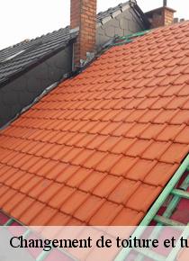  Artisan Scheit exerce ce travaux de changement de toiture et tuile comme sa véritable métier à Blennes dans le 77940 !