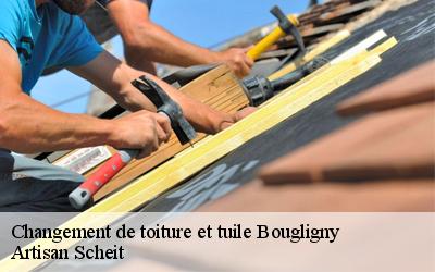 Ne craignez rien Artisan Scheit est à votre disposition pour vos travaux de changement de toiture et tuile et à des prix imbattables !