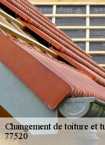 Savez-vous que Artisan Scheit est un expert pour vos travaux de changement de toiture et tuile à Cessoy En Montois dans le 77520!