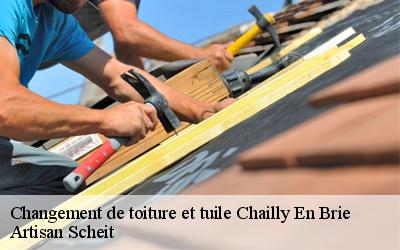 Pour tous vos travaux de changement de toiture et tuile Artisan Scheit vous offre ses prestations d’expert à Chailly En Brie à des prix pas chers !