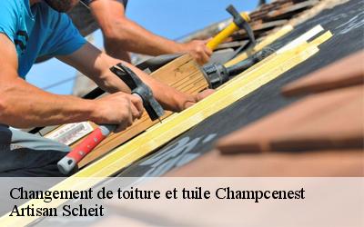 Artisan Scheit, un artisan couvreur de référence pour les changements partiels ou totaux de vos tuiles à Champcenest