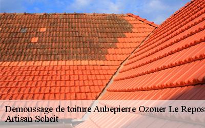 Le démoussage de toiture à Aubepierre Ozouer Le Repos : entre préservation de l'étanchéité et esthétique de votre maison