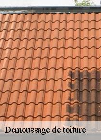 Le démoussage de toiture à Aufferville : entre préservation de l'étanchéité et esthétique de votre maison