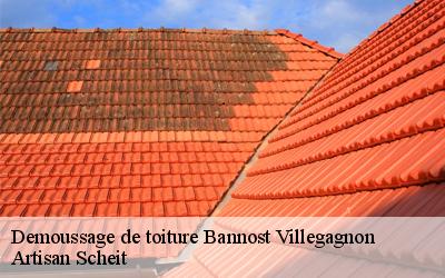 Démoussage de tuile à Bannost Villegagnon: une opération qui réduit la porosité de votre couverture