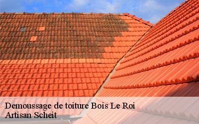 Le démoussage de toiture à Bois Le Roi : entre préservation de l'étanchéité et esthétique de votre maison