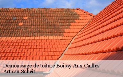 Faites confiance à Artisan Scheitcouvreur pour tous vos travaux de démoussage de toiture à Boissy Aux Cailles dans le 77760