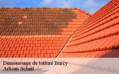  Démoussage de tuile à Burcy: une opération qui réduit la porosité de votre couverture