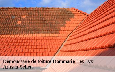 Confiez tous vos travaux de démoussage de toiture à Artisan Scheità Dammarie Les Lys?