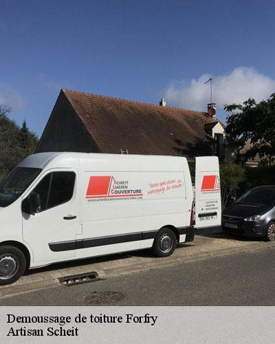 demoussage-de-toiture-77