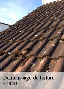  Entretient de de toit: le nettoyage  implique un démoussage de la toiture