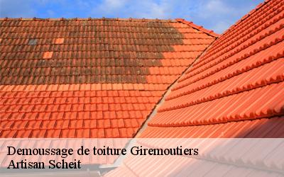 Confiez tous vos travaux de démoussage de toiture à Artisan Scheità Giremoutiers?