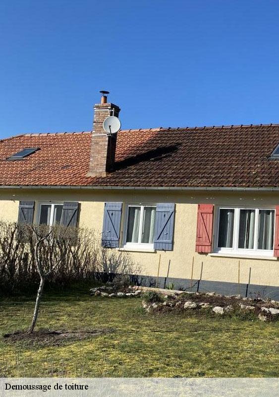 demoussage-de-toiture-77