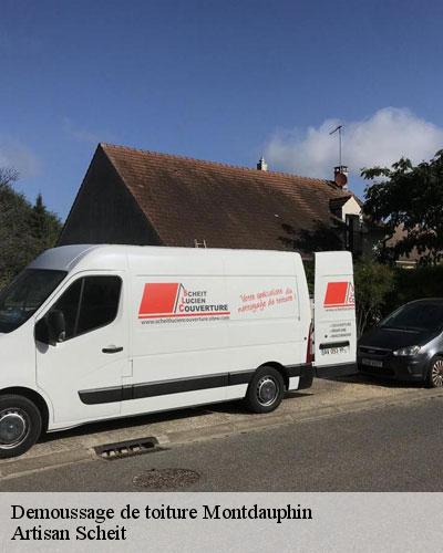 demoussage-de-toiture-77