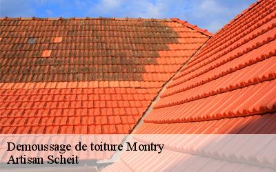 Confiez-vous àArtisan Scheit démousseur de toiture à prix pas cher à Montry dans le 77450 !