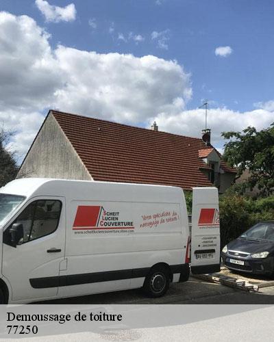 demoussage-de-toiture-77