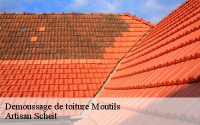 Confiez-vous àArtisan Scheit démousseur de toiture à prix pas cher à Moutils dans le 77320 !