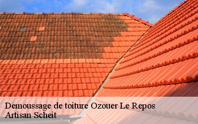 Avez-vous besoin de démoussage de toiture à Ozouer Le Repos dans le 77720 ? faites confiance à Artisan Scheitspécialiste dans ce domaine !