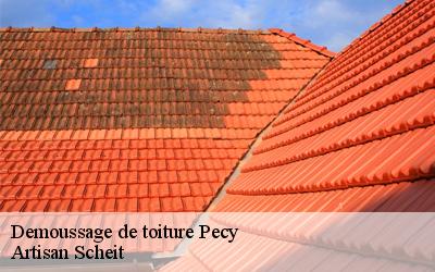 Ne vous inquiétez pas Artisan Scheit est à votre service pour tous vos travaux de démoussage de toiture à Pecy dans le 77970  !