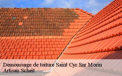 Faites confiance à Artisan Scheitcouvreur pour tous vos travaux de démoussage de toiture à Saint Cyr Sur Morin dans le 77750 