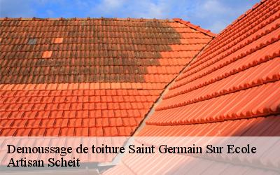 Démoussage de toiture par l'équipe de Artisan Scheit: les produits utilisés sont à la fois efficaces et respectueux de l'environnement