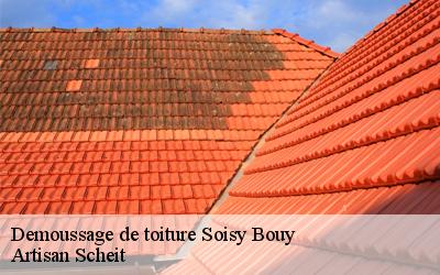 Confiez tous vos travaux de démoussage de toiture à Artisan Scheità Soisy Bouy?