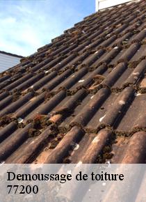 Confiez tous vos travaux de démoussage de toiture à Artisan Scheità Torcy?