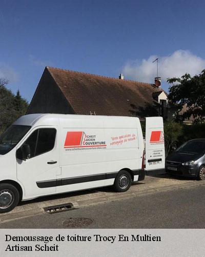 demoussage-de-toiture-77