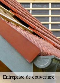 Connaissez-vous que la rénovation de toiture est une vraie profession du Artisan Scheit à Meigneux dans le 77520 !