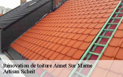 Rénover sa toiture à Annet Sur Marne: l'intervention de Artisan Scheit est recommandée si vous ne voulez pas vous ruiner
