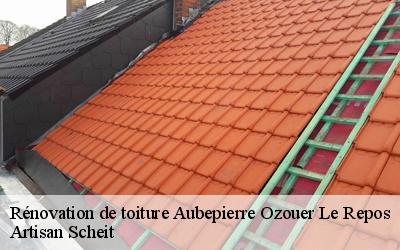Faites confiance à Artisan Scheit un expert pour tousvos travaux de rénovation de toiture à Aubepierre Ozouer Le Repos dans le 77720 !