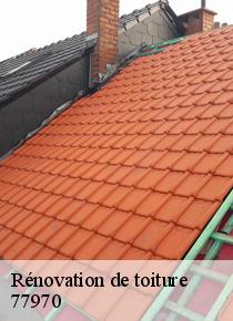 Confiez-vous à Artisan Scheit un spécialiste pour vos travaux de rénovation de toiture à Boisdon dans le 77970 !!