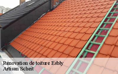 Rénover sa toiture à Esbly: l'intervention de Artisan Scheit est recommandée si vous ne voulez pas vous ruiner