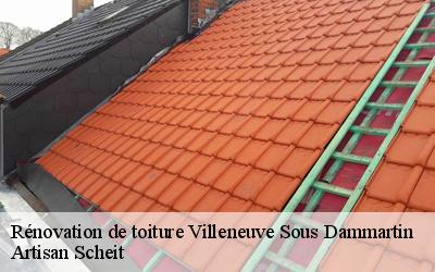 Chez Artisan Scheit à Villeneuve Sous Dammartin dans le 77230 petit budget peut profiter les services d’un spécialiste de rénovation de toiture ?