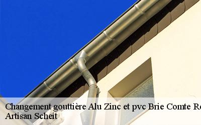 Offrez-vous les services du Artisan Scheit professionnel pour vos travaux de changement gouttière alu zinc et PVC à des petits tarifs à Brie Comte Robert dans le 77170
