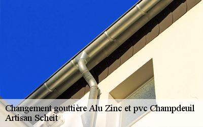 Avez-vous besoin de changement gouttière alu zinc et PVC ? Faites confiance à Artisan Scheità Champdeuil dans  le 77390 !