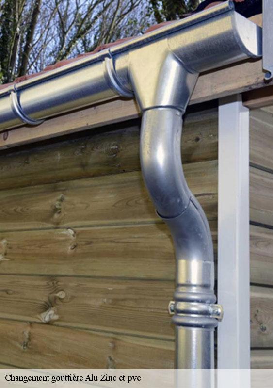 changement-gouttiere-alu-zinc-et-pvc-77