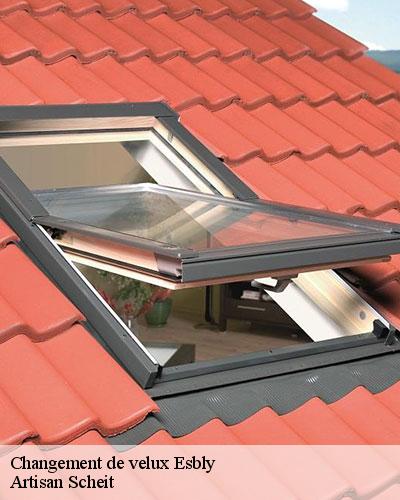 changement-de-velux-77