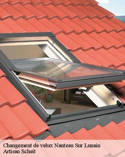 changement-de-velux-77