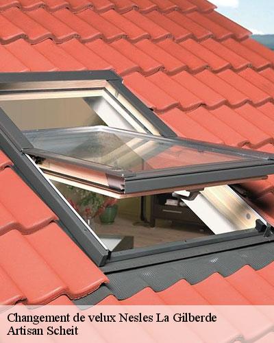 changement-de-velux-77