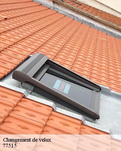 changement-de-velux-77