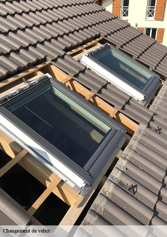 changement-de-velux-77