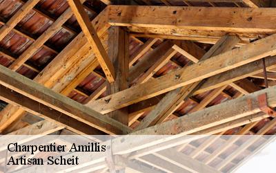 Confiez tous vos travaux de charpentier pour changement de charpente à Artisan Scheit charpentier !