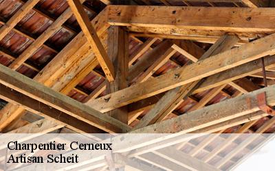 Faites confiance à Artisan Scheit charpentier pour changement de charpentepour votre appartement à Cerneux dans le 77320 !