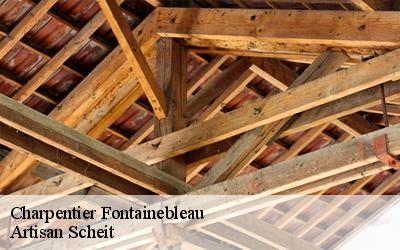 Profitez les services rapides de Artisan Scheit spécialiste entraitement de charpente à Fontainebleau dans le 77300 pour vos travaux de bâtiment ?
