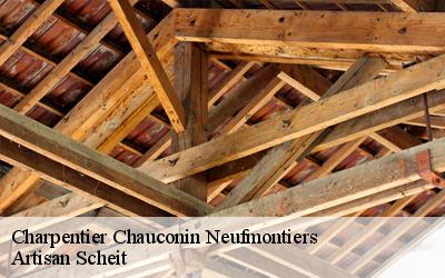 Rehaussement d'une maison à Chauconin Neufmontiers: discutez de votre projet avec le charpentier aguerri Artisan Scheit